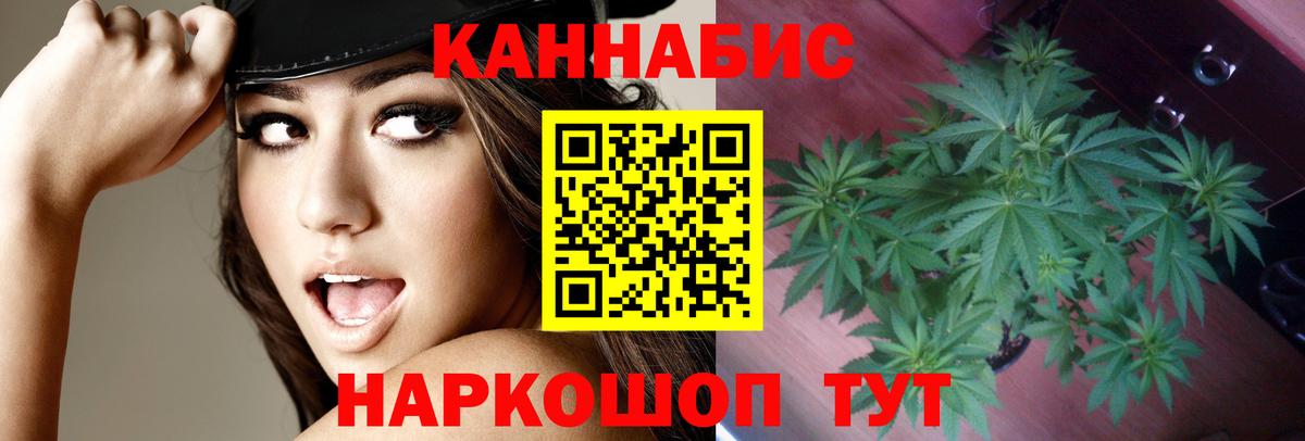 Бошки Шишки конопля  Бошки Шишки Ganja  Бошки марихуана индика  Вход с VPN  Конопля планчик  Советск 